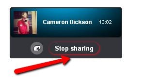 Stop Sharing Command on Skype