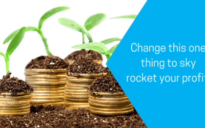 Change this one thing to sky rocket your profit