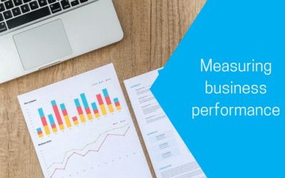 Measuring business performance