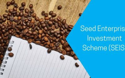 Seed Enterprise Investment Scheme (SEIS)