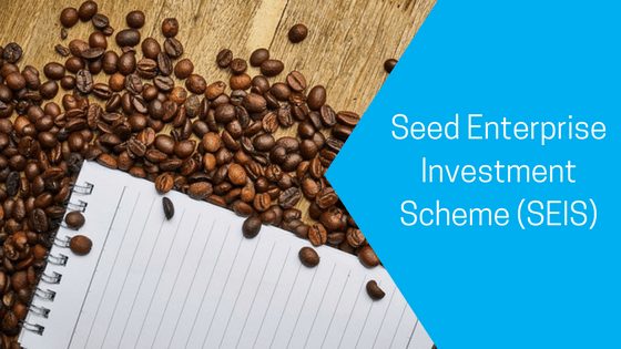 Seed Enterprise Investment Scheme (SEIS)