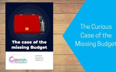 The Curious Case of the Missing Budget