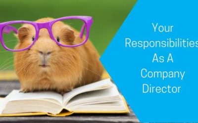 Your Responsibilities as a Company Director