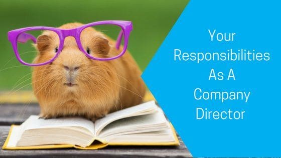 Your Responsibilities as a Company Director