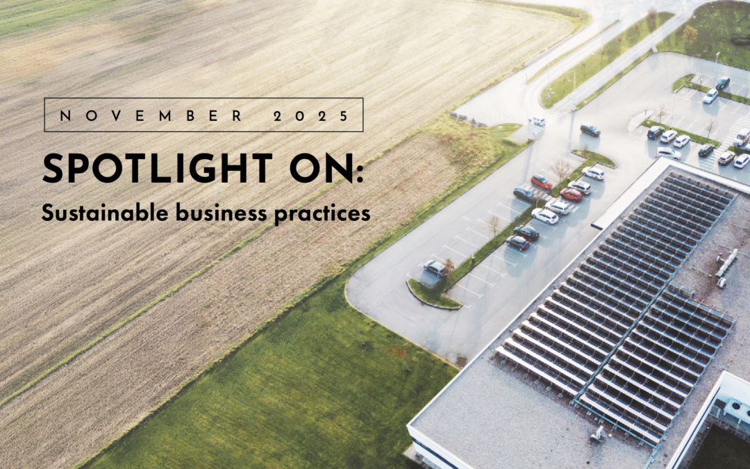 Spotlight On: Sustainable Business Practices